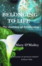 Finding the Eye of Your Hurricane - Awakening with Mary O'Malley
